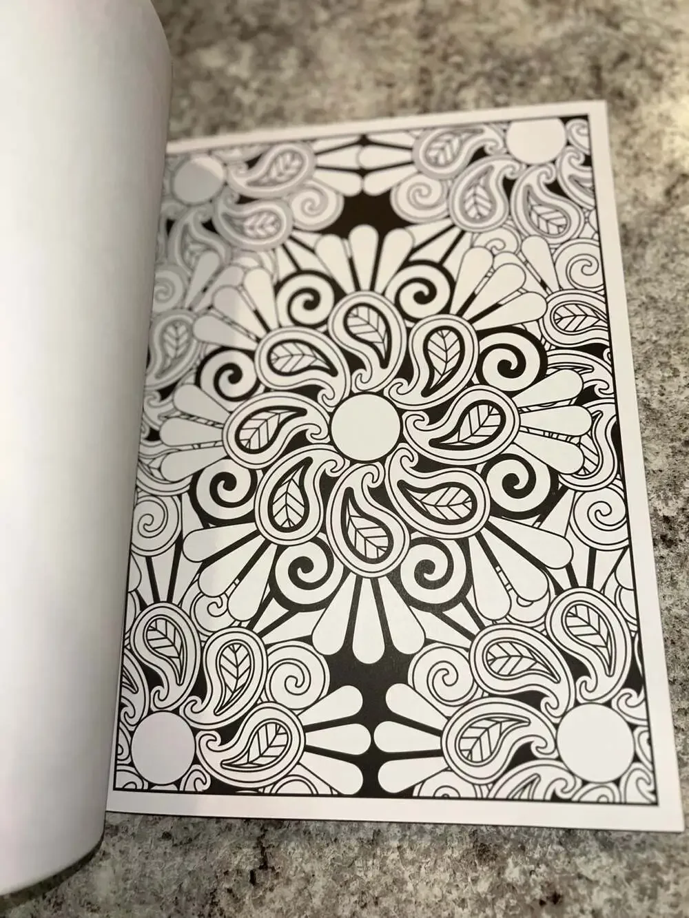 Cra-Z-Art Timeless Creations Creative Quotes and Mandala Designs Adult Coloring